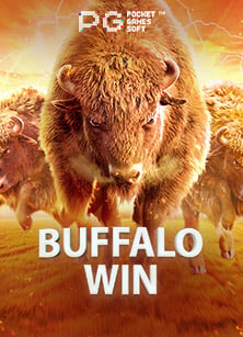 สมัคร สมาชิก sbosoccer manager 2021 แผนการเล่นที่แตกต่าง